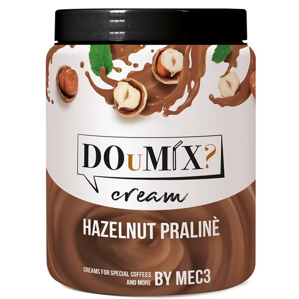 DOuMIX HAZELNUT PRALINE CREAM